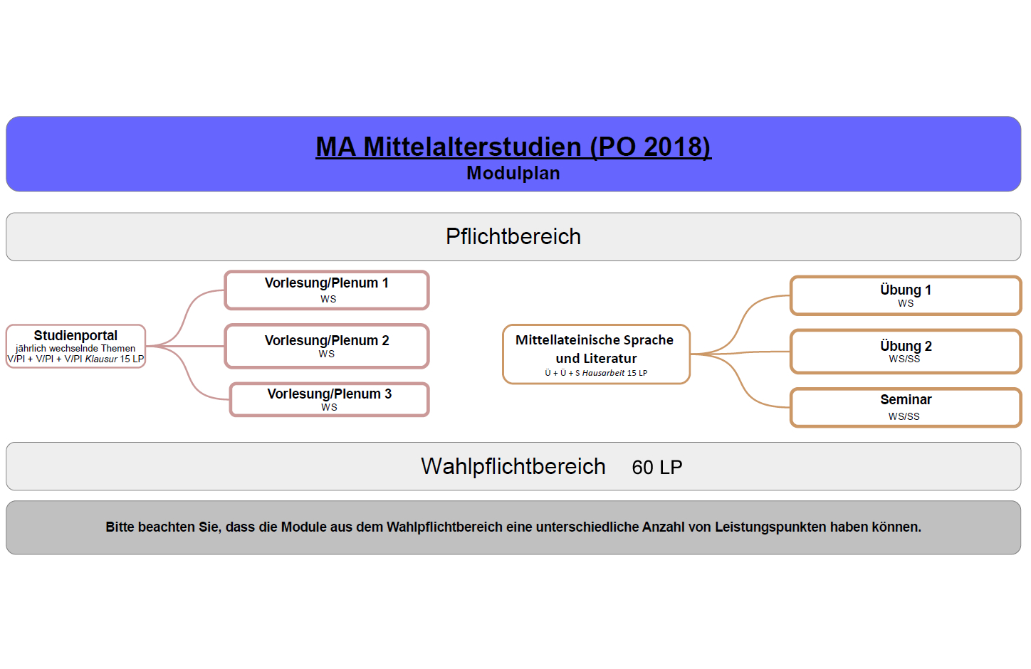 Studienverlauf .jpg